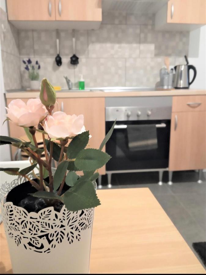 Petit Apartment Santa Coloma de Gramanet المظهر الخارجي الصورة